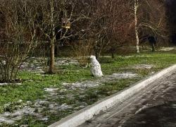 Снежные фигуры в Шахтах растаяли из-за повышения температуры