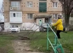 "Гадюшня там" — с такими словами шахтинка вырубила деревья у многоквартирного дома