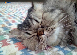 На улице снова потеплеет