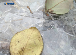 Спасатели напомнили, какой лед на водоеме считается безопасным