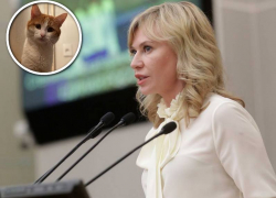 Депутат Госдумы из Шахт вступилась за проводницу, выбросившую кота Твикса из вагона 
