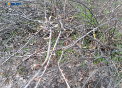 Из-за туч, возможно, проглянет солнышко, но будет довольно прохладно