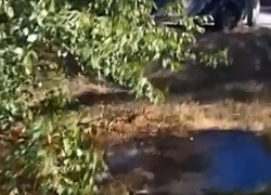 Из тепловой трубы уже два месяца течет вода, заливая детскую площадку в Шахтах