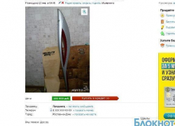 Донские участники эстафеты Олимпийского огня распродают свои факелы и костюмы
