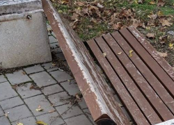 Жители Шахт обеспокоены состоянием Неждановского парка