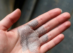 В Ростовской области за год более 600 преступлений раскрыли благодаря отпечаткам пальцев и ладоней