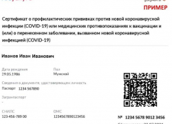 Донские парламентарии поддержали проект федерального закона о введении  QR-кодов