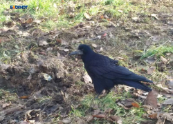 Легкий морозец напомнит о зиме