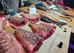 Двух жительниц Шахт поймали на рыночной торговле без регистрации