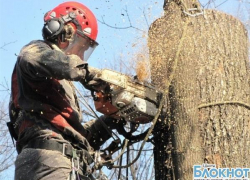 В Шахтах 19 декабря не будет электричества 
