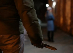 Полицейские задержали шахтинца, напавшего с ножом на девушку и парня
