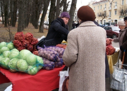 Шахтинцы смогут сэкономить на сельхозярмарке