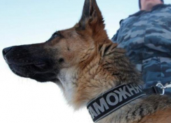 Под Шахтами задержали украинца с марихуаной