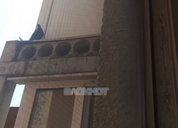 Голуби атаковали многоквартирный дом на ХБК в Шахтах