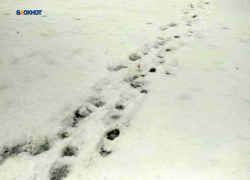 Целый день ожидается пасмурная погода