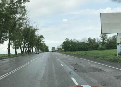 Шахтинцы возмущены вырубкой деревьев на въезде в город