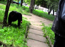 В Кузбассе осудят «закладчиков» из Шахт