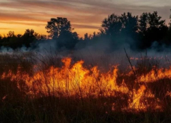 В поселке Артем в Шахтах горела трава на большой площади