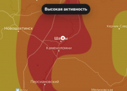 Аллергиков предупредили о резком скачке активности пыльцы 17 мая в Шахтах