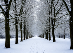 Жителей Шахт ожидает температурная нестабильность в диапазоне от -15 до +5 градусов