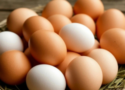 Яйца в Шахтах подорожали на 4% за минувшую неделю