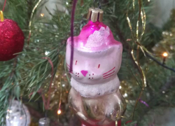 Шахтинцы участвуют в акции «Новый год в каждый дом»