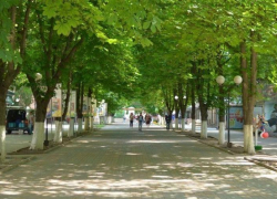 Кафе и рестораны в Александровском парке должны соответствовать его новым дизайнерским требованиям