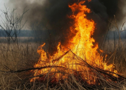 Более 34 гектаров сухой растительности планируют выжечь в Шахтах