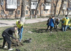 В День древонасаждений в Шахтах посадили деревья и привели в порядок улицы