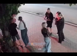 Молодежи захотелось романтики, и они разгромили украшения на фасаде цветочного в Шахтах