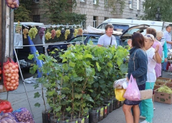 Более 130 сельхозпроизводителей представлены на «Донской ярмарке» в Шахтах