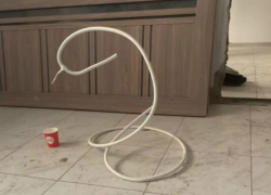 Фигуру из шланга продают за 30 тысяч рублей в Шахтах