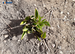 Весна постепенно вступает в свои права