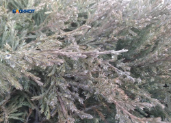 К выходным ожидается похолодание