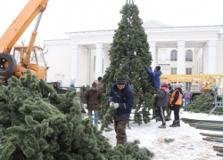 Главную городскую елку устанавливают в Шахтах 