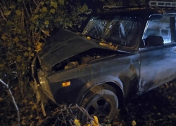 Пьяный водитель влетел в дерево и покалечил ребенка в Шахтах