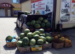 «В лучшем случае, вы выбросите товар, в худшем - отправитесь в больницу»: как в Шахтах торгуют «на газетке»