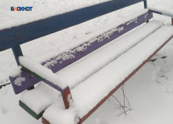 Синоптики прогнозируют потепление и мокрый снег