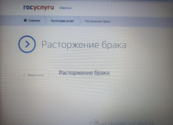 Теперь шахтинцы могут оформить развод через Госуслуги