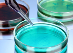 Шахтинцам напомнили, как выбрать безопасную «незамерзайку»