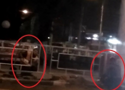 Под покровом ночи устанавливали ограды в центре Шахт