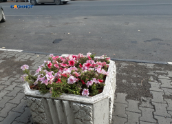Солнечным и малооблачным обещает быть этот четверг в Шахтах