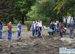 В городе Шахты посадили «Дерево дружбы»
