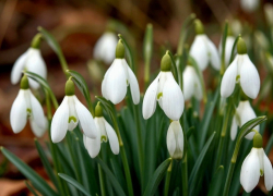 Жителей Шахт на этой неделе ждут морозные ночи и пронизывающий ветер 