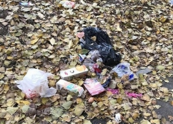 «Каким-то хамам лень до мусорки дойти!» - возмущена появлением новой свалки шахтинка