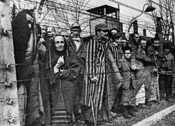 Сегодня - Международный день в поддержку жертв пыток