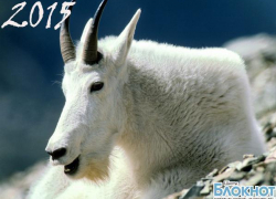 Что ждет шахтинцев в 2015 году
