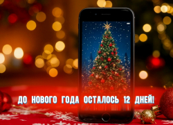 До Нового года осталось 12 дней 