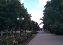 Петицию против застройки Александровского парка разместили жители Шахт