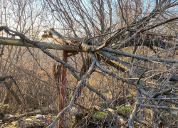 Вопрос о благоустройстве улицы Подгорная и переулка Бугроватый в городе Шахты остаётся нерешённым с 2018 года